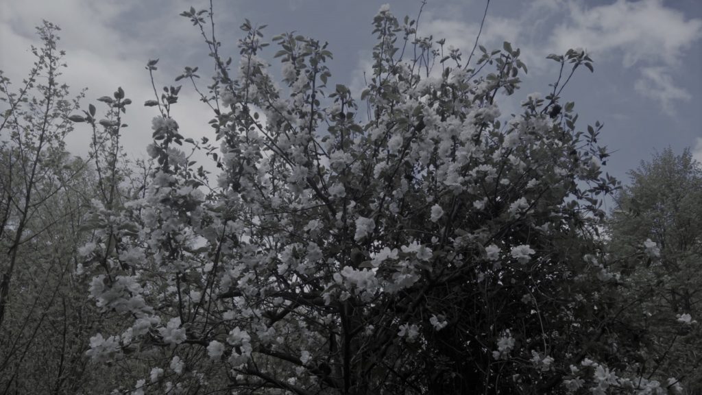 Wiosenna nawrotowość depresji